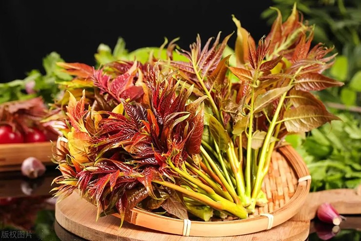 Một trong những loại rau dại được xem là đặc sản ở Trung Quốc nhưng ở Việt Nam ít người biết là mầm cây hương xuân (còn gọi là xoan hôi, tông dù).

