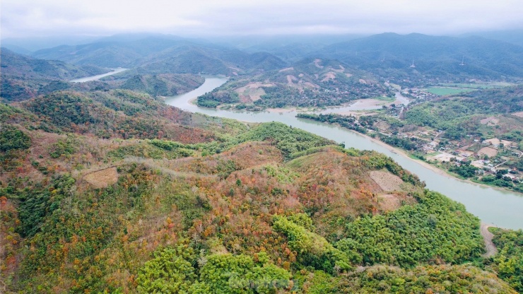 Ngỡ ngàng vẻ đẹp của cánh rừng nguyên sinh mùa thay lá - 9