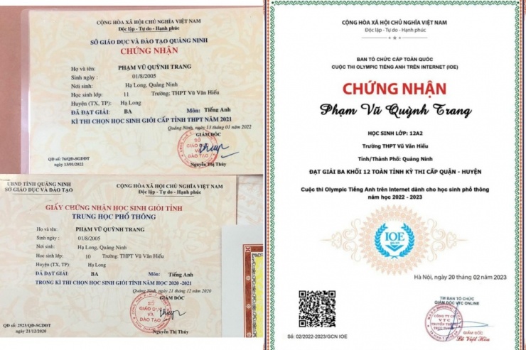 Trang đã đạt nhiều giải thưởng cấp trường, cấp thành phố, cấp tỉnh môn tiếng Anh.