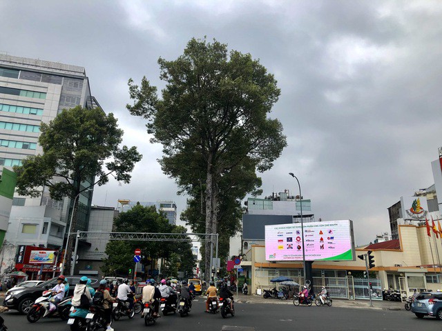 Bầu trời TP HCM có dấu hiệu của một trận mưa sắp kéo đến