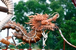 Tin tức trong ngày - Cặp rồng lu ‘hot trend’ tại Bình Dương đã xác lập kỷ lục Việt Nam