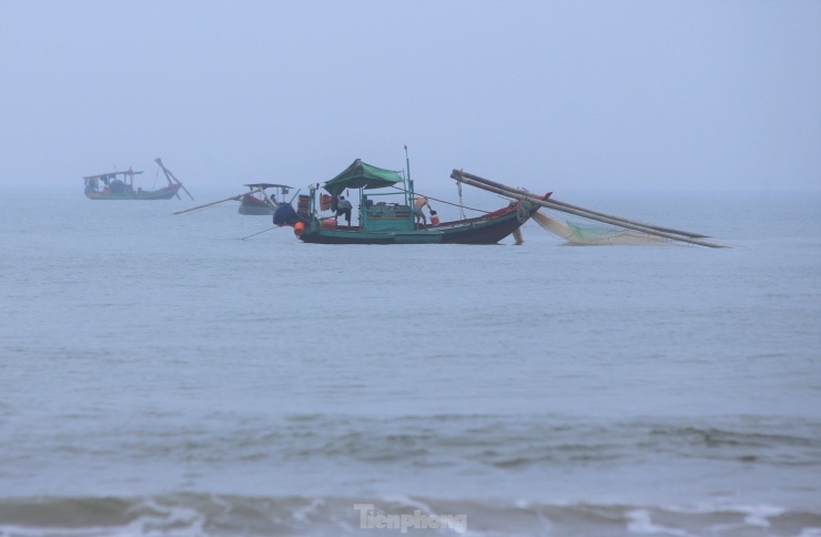Ông Nguyễn Văn Thành (56 tuổi) cho biết, thời điểm này dọc bờ biển xuất hiện nhiều ngao tím nên ông cùng ngư dân khác dùng thuyền nhỏ buông lưới đánh bắt.