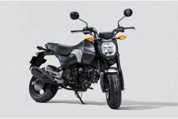 Thế giới xe - Honda Grom 2024 trình làng, minibike cho dân chơi đường phố, giá 64 triệu đồng