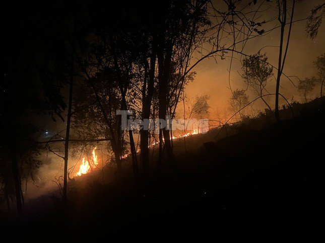 Đám cháy khiến gần 3ha rừng 611 bị phá hủy hoàn toàn.