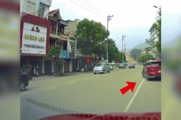 Ô tô - Clip: Quên hạ phanh tay khiến xe "nhún" như bật bông