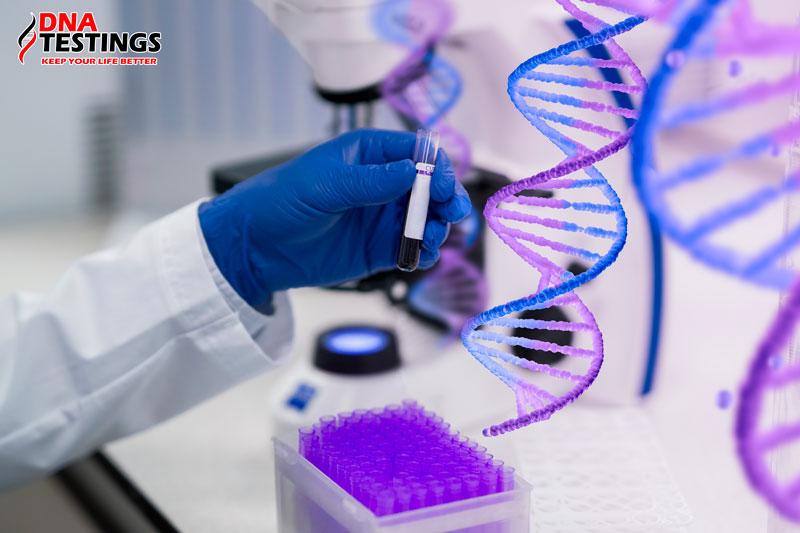Trung tâm xét nghiệm ADN - DNA TESTINGS