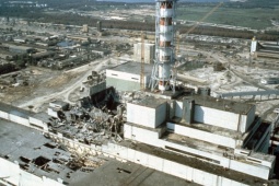 Thế giới - Phát hiện sinh vật sống ở khu thảm họa hạt nhân Chernobyl miễn nhiễm với phóng xạ