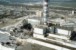 Thế giới - Phát hiện sinh vật sống ở khu thảm họa hạt nhân Chernobyl miễn nhiễm với phóng xạ