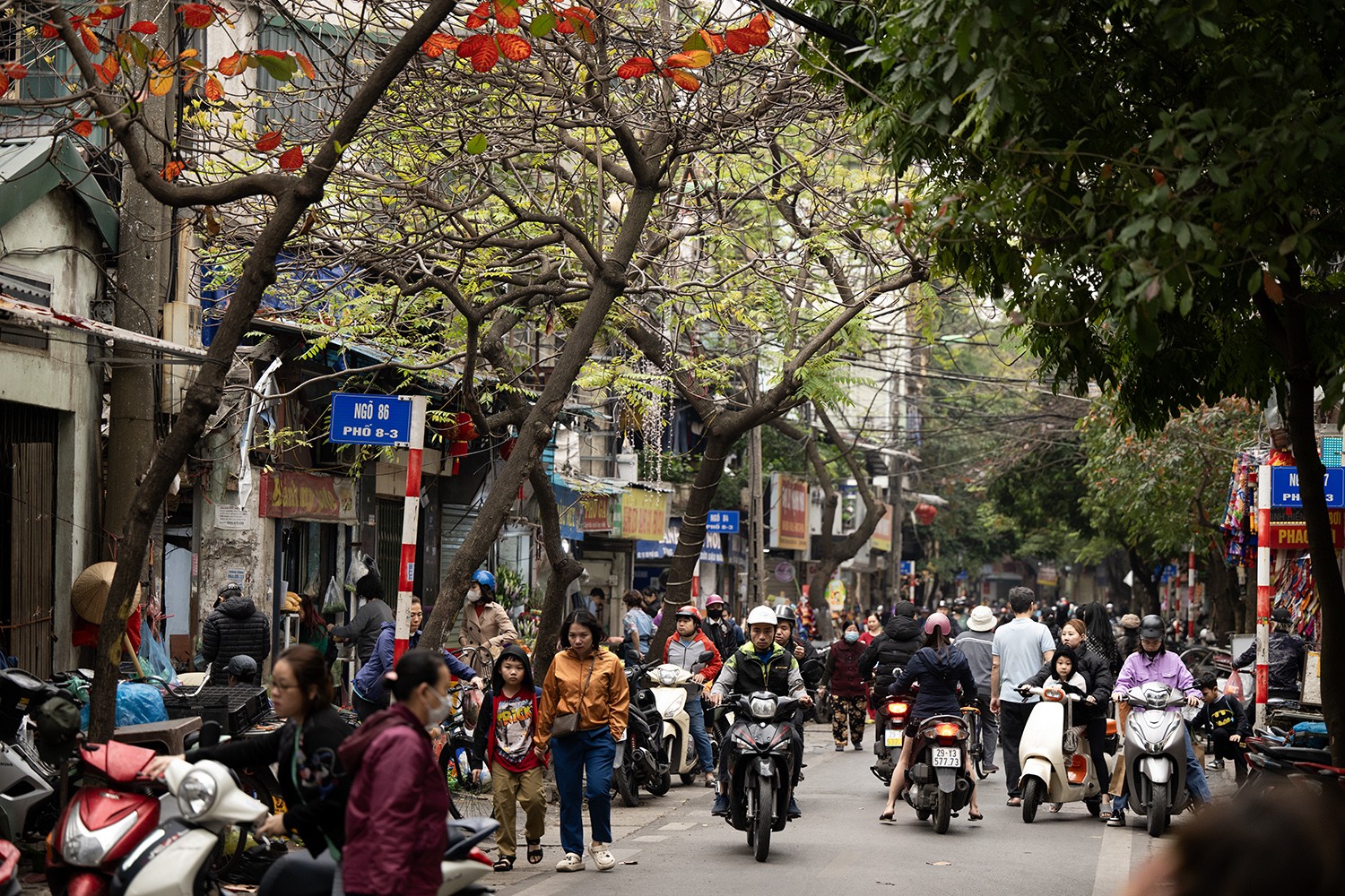 Con phố có chiều dài khoảng 500m, chạy từ bờ tây sông Kim Ngưu đến phố Quỳnh Mai, quận Hai Bà Trưng.