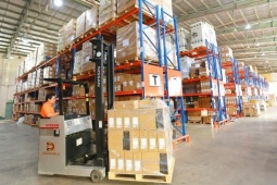 Cổ phiếu DGW bật tăng mạnh, bất chấp thị trường “đỏ lửa”