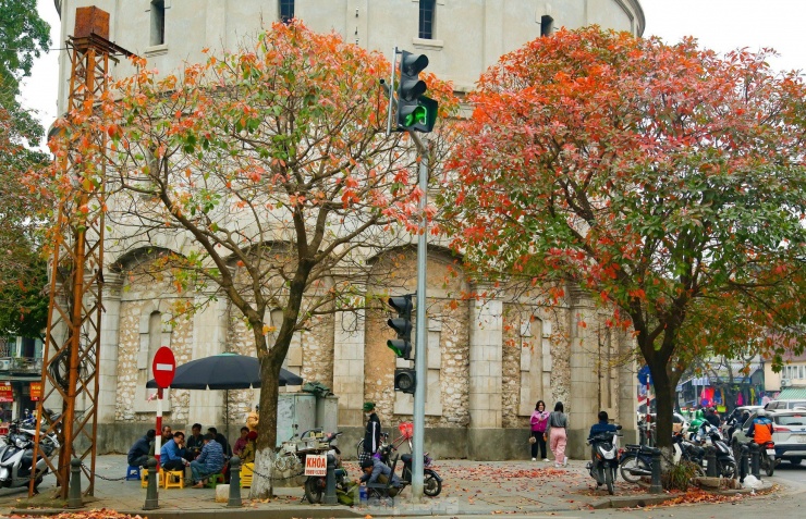 Ở nhiều góc phố Hà Nội, cây xanh bắt đầu chuyển sang sắc đỏ, vàng. Ngắm thủ đô những ngày này cứ ngỡ như đang lạc vào mùa thu rực rỡ sắc màu ở Hàn Quốc