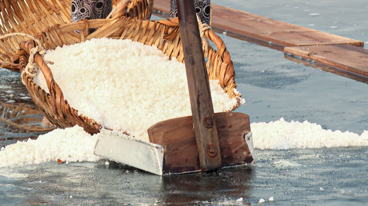 Đang vào vụ thu hoạch muối, nhưng giá lại chỉ đạt bằng 50% so với năm ngoái. ẢNH: DUY TÂN