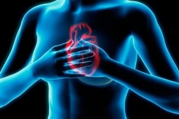 Sức khỏe đời sống - Bệnh tim là "sát thủ thầm lặng" nhưng có thể phòng tránh được nếu biết những điều này