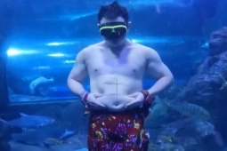 Phi thường - kỳ quặc - VIDEO: Hài hước màn biểu diễn của chàng tiên cá mũm mĩm giữa thủy cung