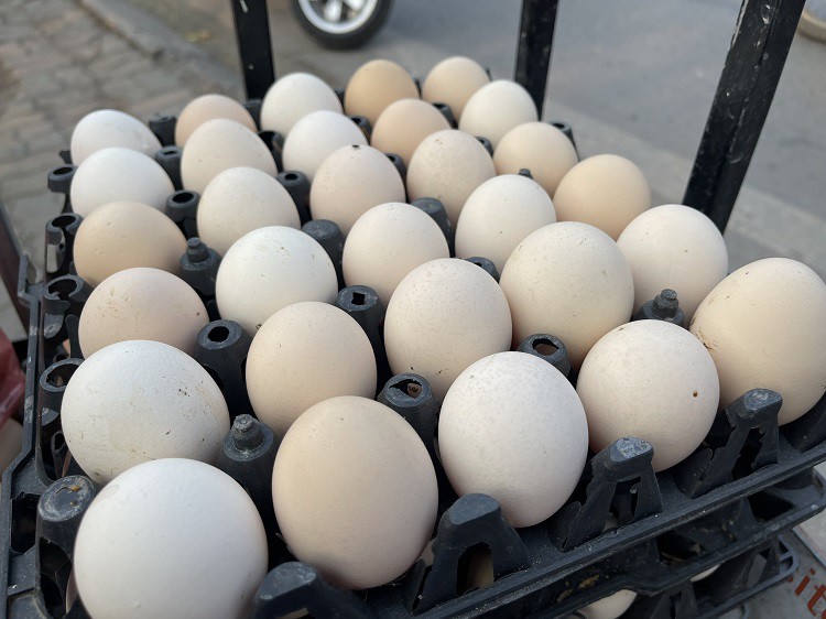 Trứng gà có giá "siêu rẻ", chỉ từ 2 nghìn đồng/quả.
