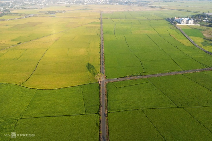 Đường ruộng ở Bà Rịa - Vũng Tàu - 6