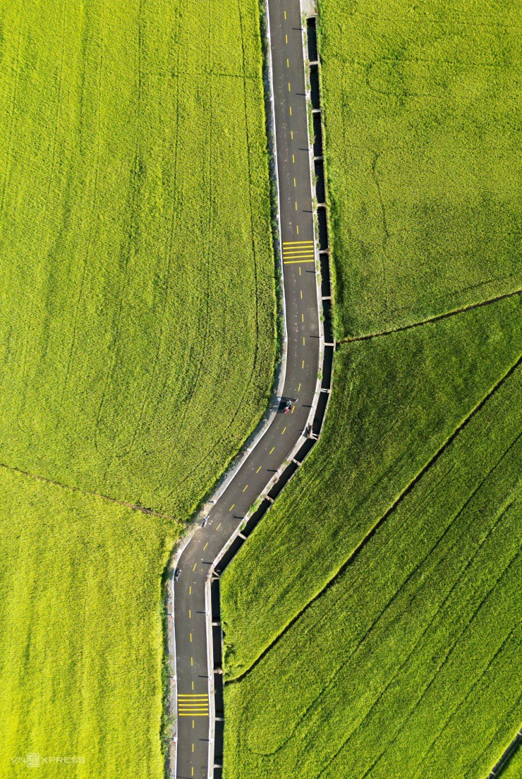 Đường ruộng ở Bà Rịa - Vũng Tàu - 3