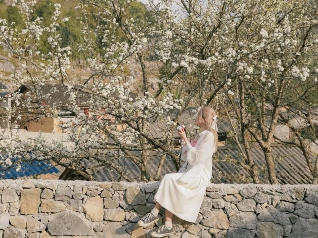 Du lịch - 'Lạc bước’ nơi địa đầu Tổ quốc chiêm ngưỡng mùa hoa nở