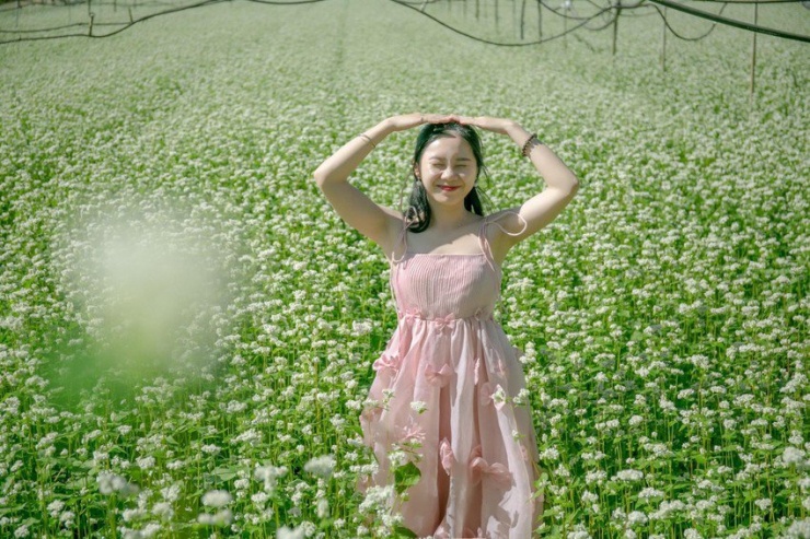 Nhiều cô gái không thể bỏ qua màu tam giác mạch ở Ka Đô trong những ngày này