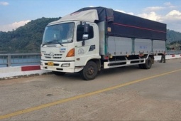 Pháp luật - Bỏ xe tải trên cầu, tài xế nhảy xuống hồ Đồng Nai 3 tự tử