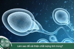 Sức khỏe đời sống - Làm sao để cải thiện chất lượng tinh trùng?