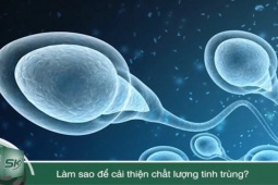 Sức khỏe đời sống - Làm sao để cải thiện chất lượng tinh trùng?