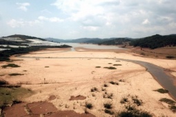 Tin tức trong ngày - Thượng nguồn hồ Đankia - Suối Vàng trơ đáy nứt nẻ, Đà Lạt nguy cơ thiếu nước