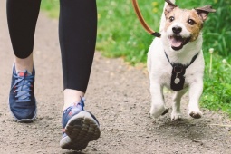 Đàn ông - Bạn nên đi bộ bao nhiêu bước sau ăn để tăng cường trao đổi chất?