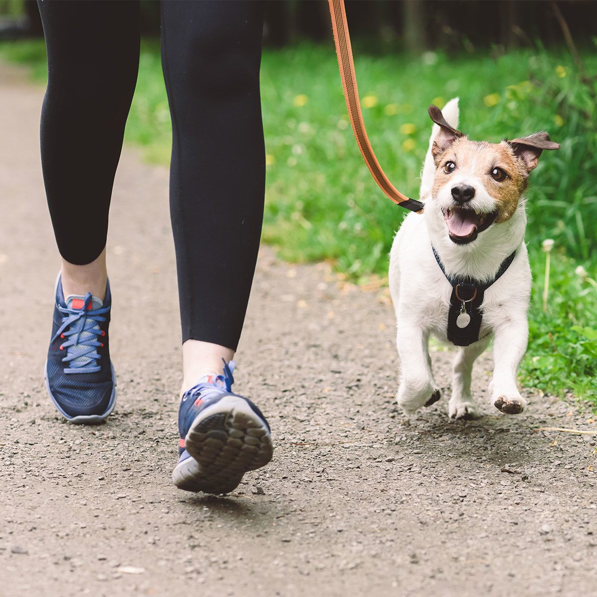 Bạn nên đi bộ bao nhiêu bước sau ăn để tăng cường trao đổi chất? - 2