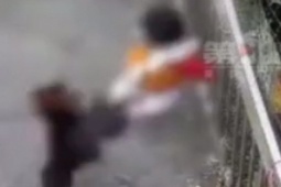 Phi thường - kỳ quặc - Khoảnh khắc gà chọi nổi điên "tung cước" đá ngã bé gái