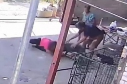 Phi thường - kỳ quặc - Kinh hoàng chó Pitbull hung hăng tấn công người phụ nữ