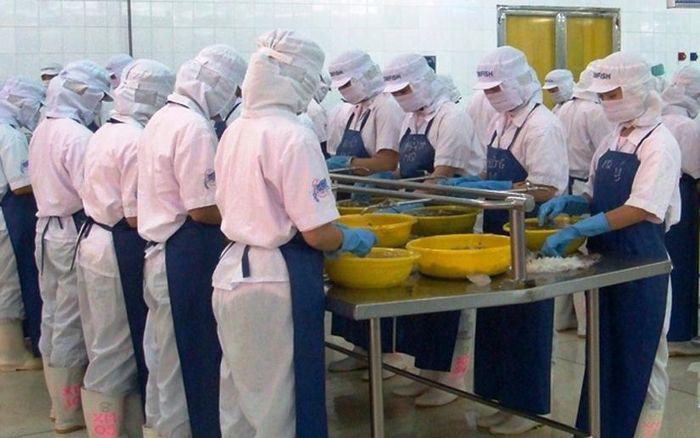 Cổ phiếu của CTCP Đầu tư Thương mại Thủy sản liên tục tăng trần thời gian qua