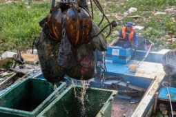 Tin tức trong ngày - Vớt hơn 100 tấn rác dưới "kênh đẹp nhất TP HCM"