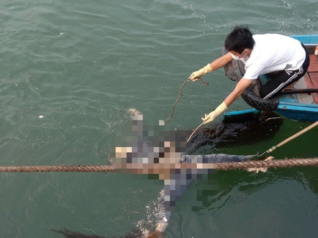 Pháp luật - Phát hiện thi thể người đàn ông đang phân hủy trong lúc đi câu mực