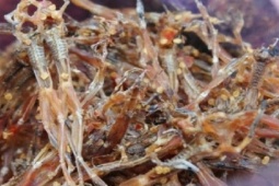 Thị trường - Tiêu dùng - Đặc sản được ví là "vũ nữ chân dài", bán hơn nửa triệu/kg dân nhậu mê đắm