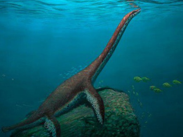 Phi thường - kỳ quặc - Lộ diện “quái vật hồ Loch Ness” hoàn toàn mới ở Đức