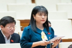 Tin tức trong ngày - Đại biểu chất vấn Bộ trưởng Ngoại giao việc "ít nước miễn thị thực cho công dân Việt Nam"