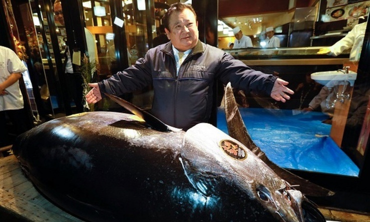 Ông Kiyoshi Kimura - chủ chuỗi nhà hàng sushi Sushi Zanmai từng khiến dư luận xôn xao khi chi tới 3,1 triệu USD (gần 72 tỷ đồng) để mua một con cá ngừ khổng lồ trong phiên đấu giá đầu tiên của năm 2019 tại chợ cá mới Tokyo. Ảnh: EPA