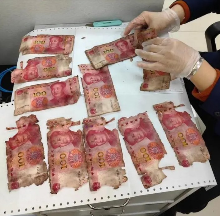 Sau 1 năm, cụ ông này đào đất, lấy ra thì phát hiện nhiều tờ tiền đã bị hư hỏng nghiêm trọng. Ảnh: Vietnam Daily.