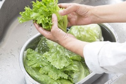 Đàn ông - Thực hư tác dụng uống trà rau diếp giúp ngủ ngon