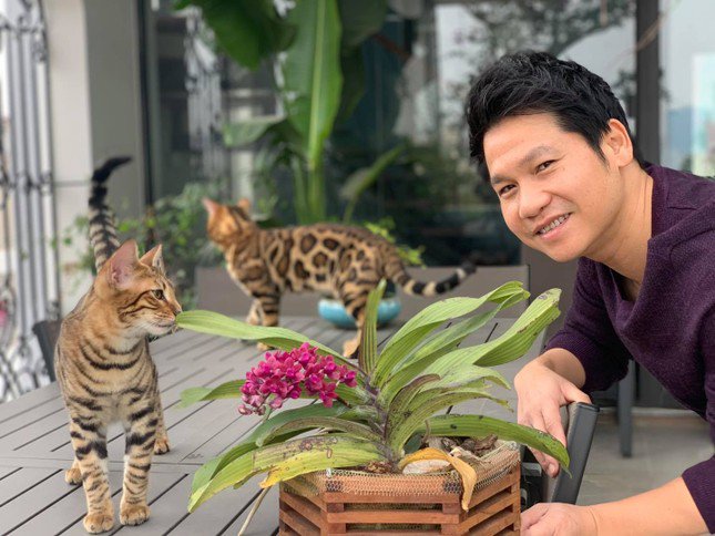 Đan Trường khoe đàn mèo cưng trị giá cả trăm triệu - 10