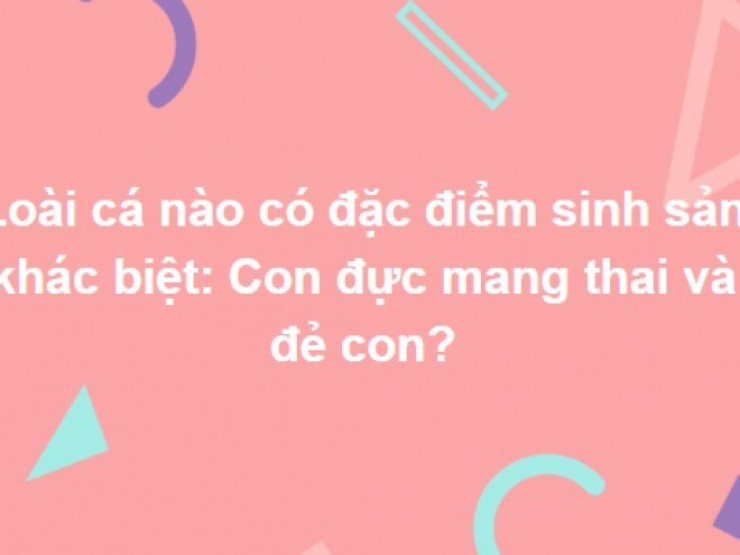 Những câu hỏi tưởng dễ nhưng bắt tay vào làm bạn mới biết đã mình nhầm