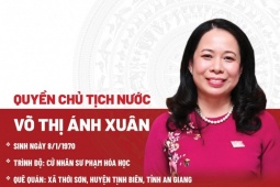 Chân dung quyền Chủ tịch nước Võ Thị Ánh Xuân