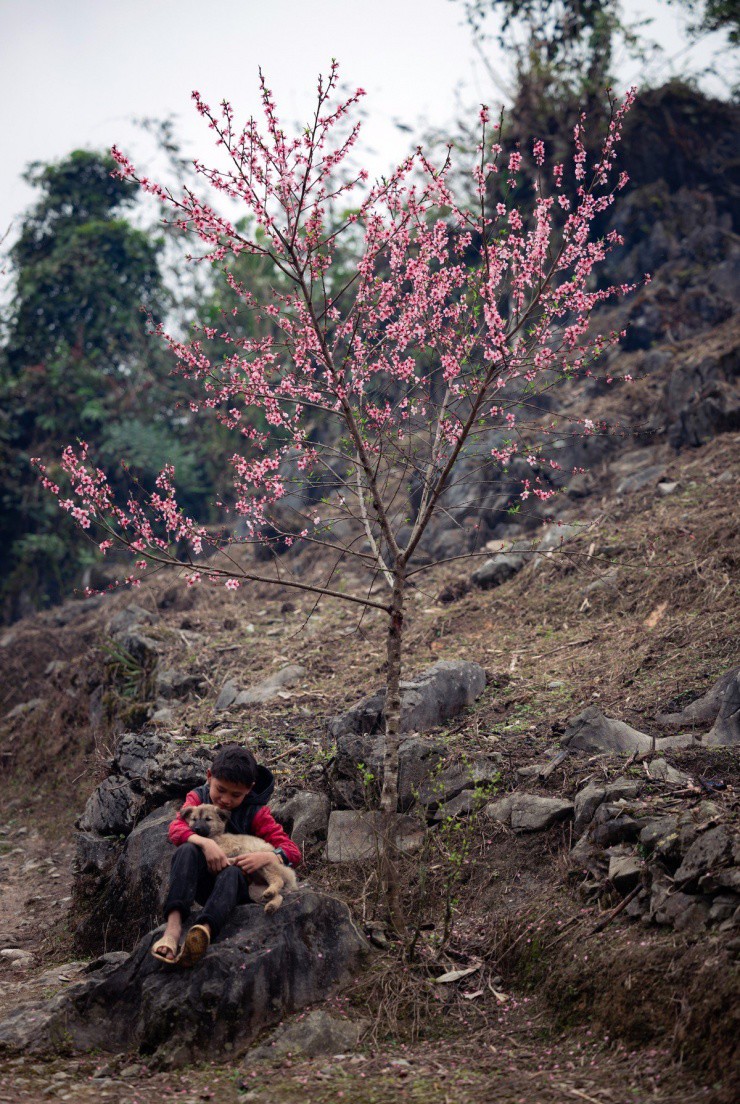 Cuộc sống bình dị của những đứa trẻ nơi cao nguyên đá Hà Giang.