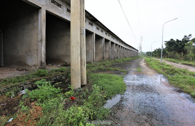 Dự án trăm tỷ chậm triển khai, khu đất 10.000m2 bỏ hoang - 3