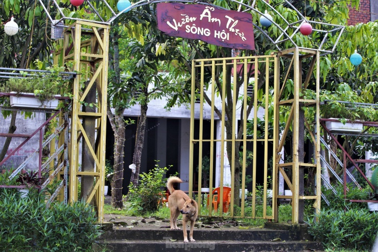 Dự án trăm tỷ chậm triển khai, khu đất 10.000m2 bỏ hoang - 6