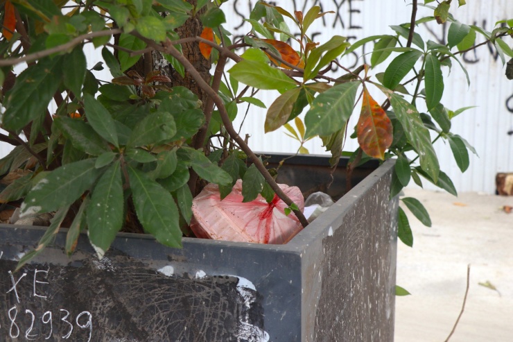 Nhiều gốc cây biến thành nơi vứt rác của người qua đường, rất mất mỹ quan.