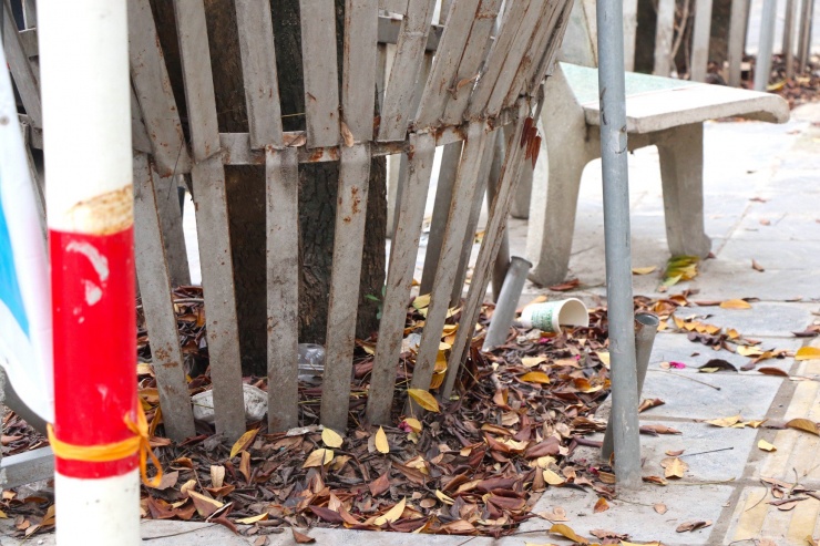 Mỗi cây được bọc, hàn sắt theo dáng khác nhau, kèm theo đó là trục chống đỡ để cây không bị đổ.