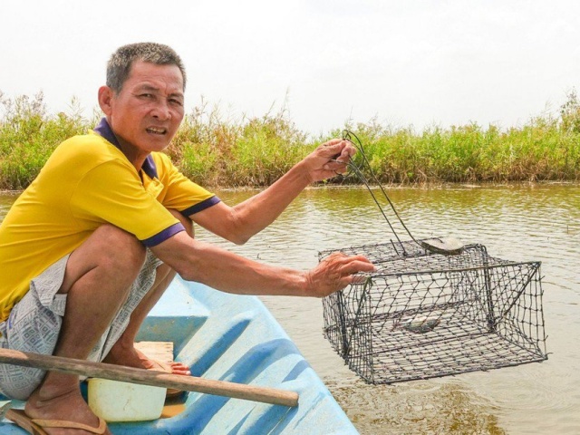 Tôm cua ở Kiên Giang chết do nắng nóng