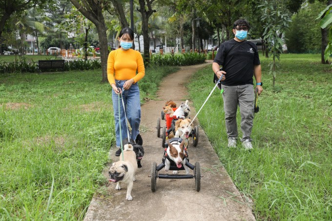 Người dân TP HCM dắt chó đi dạo ở công viên. Ảnh: Quỳnh Trần